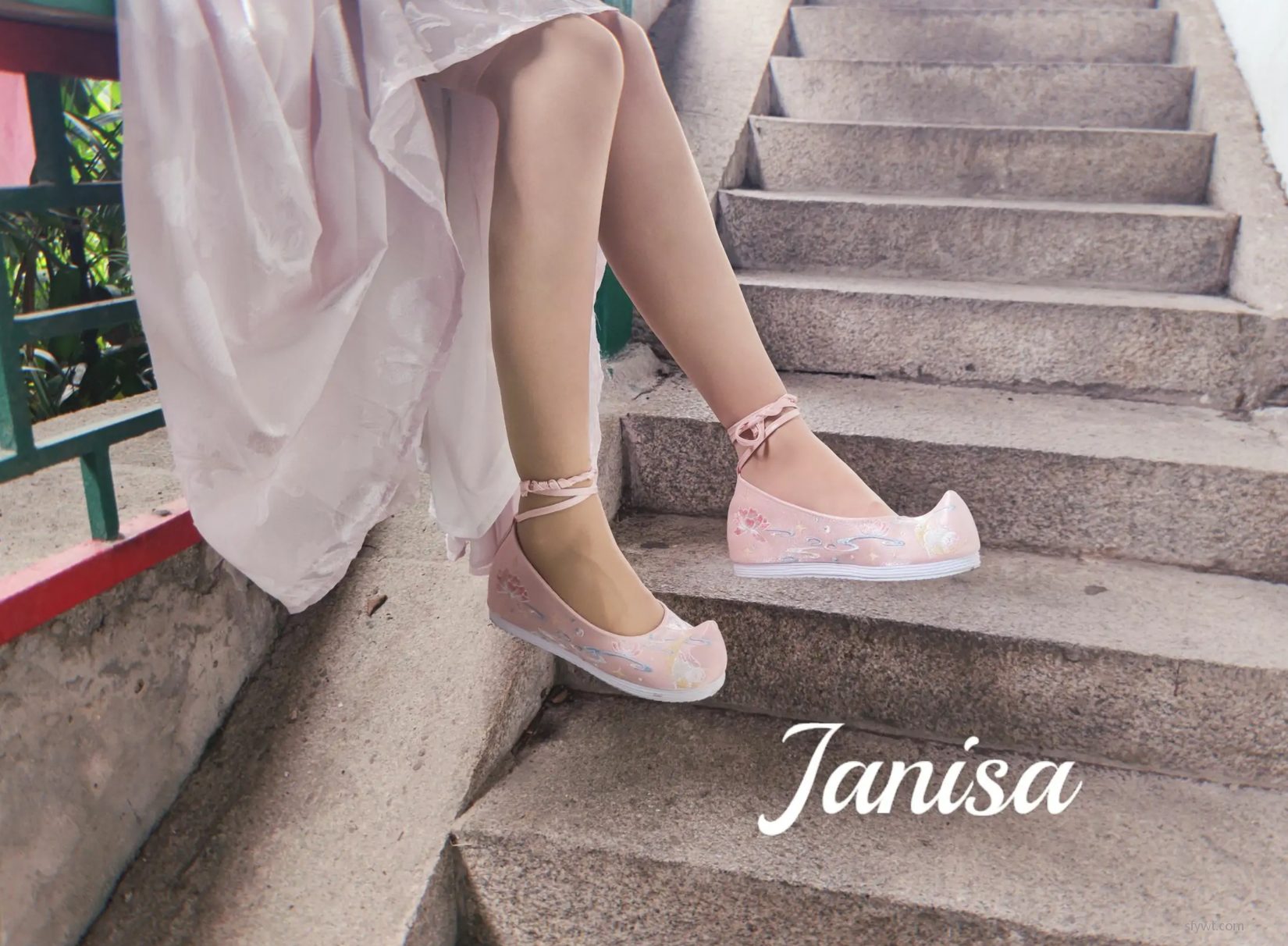 (20P) ģcoserд Janisa ͼ  1ҳ