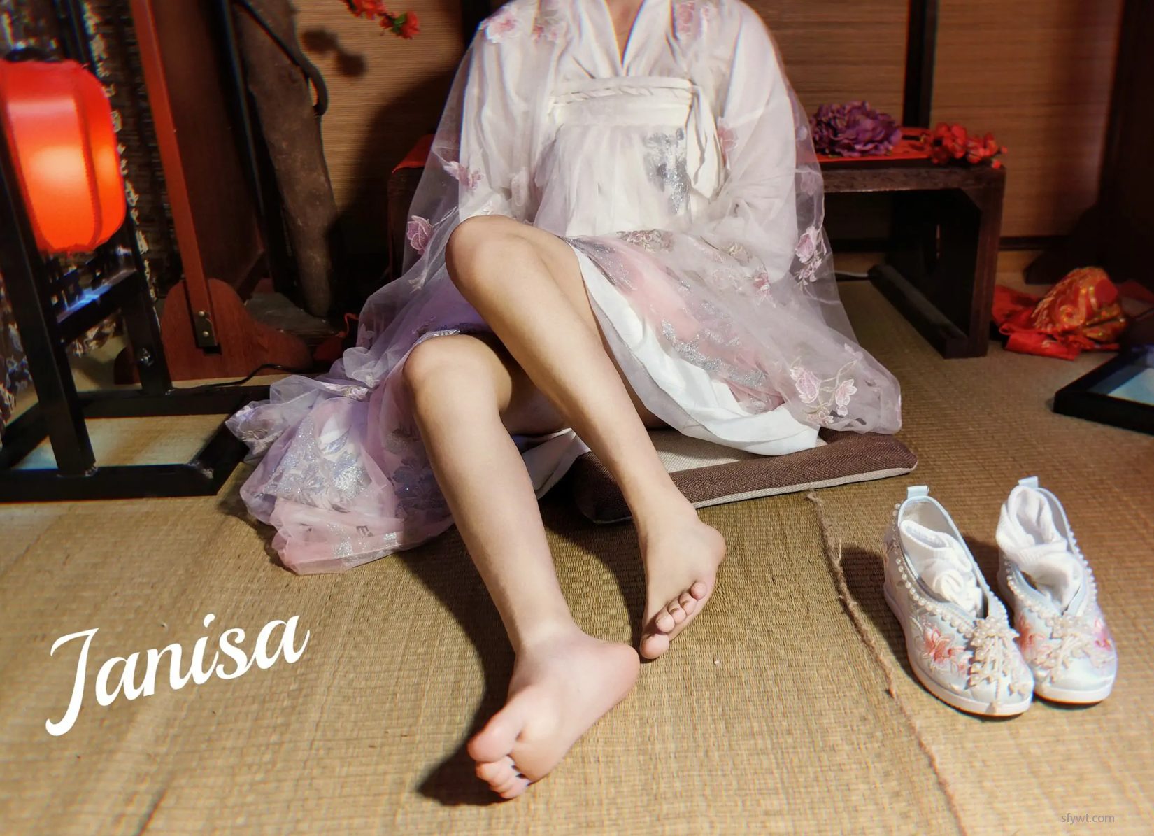 ģcoserд Janisa ͼ (23P)  1ҳ