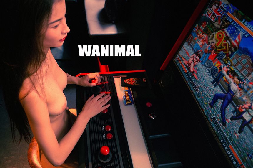 WANIMALƷ [134P] (ʮ) ʥ ͼ 1ҳ